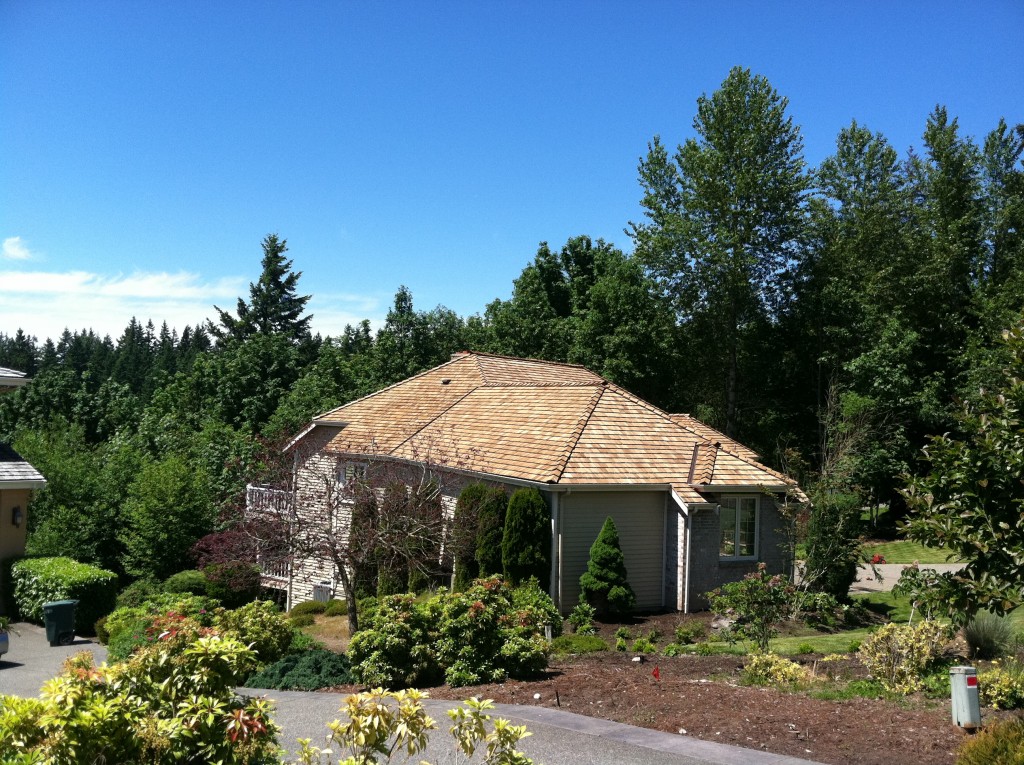 Bellevue Shake Roof