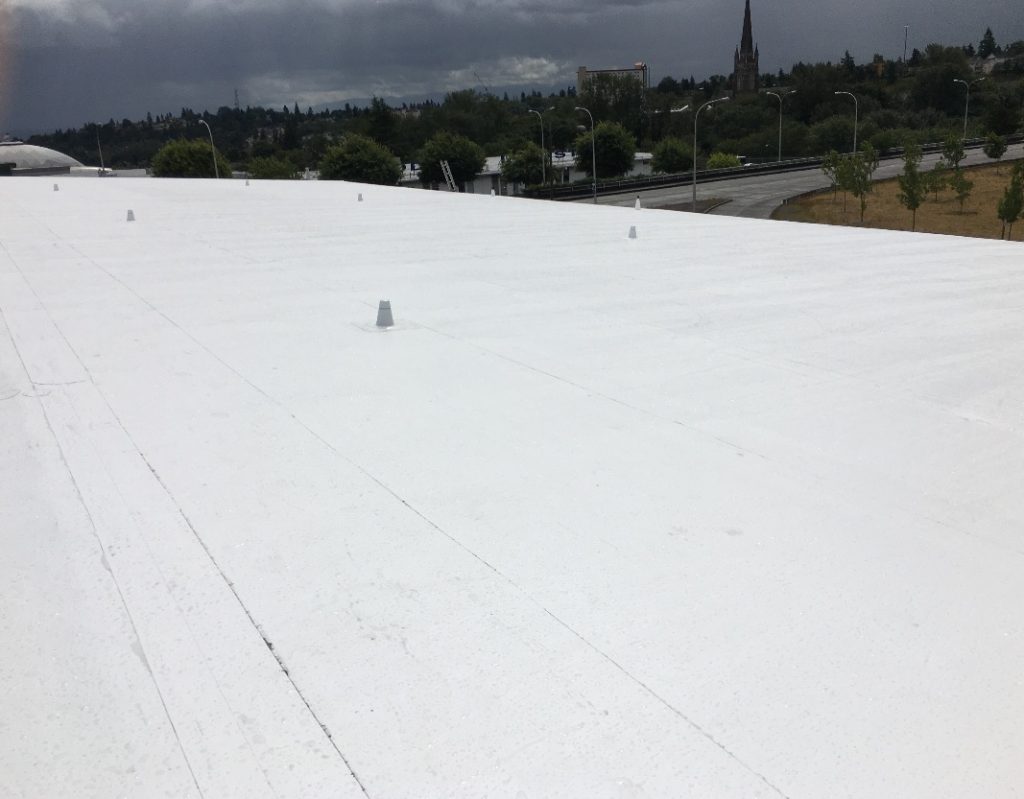 commercial pvc roof