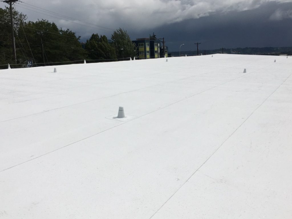 commercial pvc roof