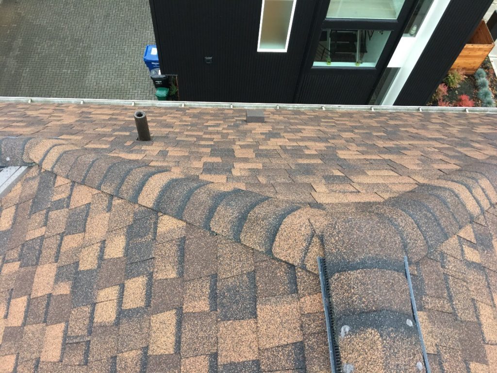 Seattle multi family roof