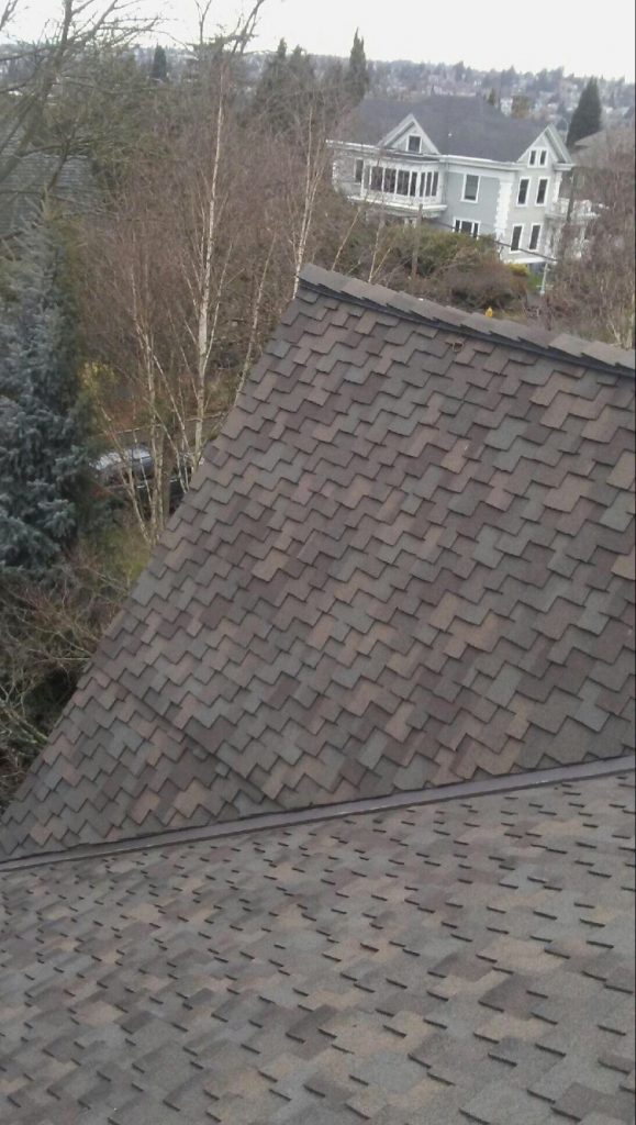 Seattle Presidential TL Roof Project