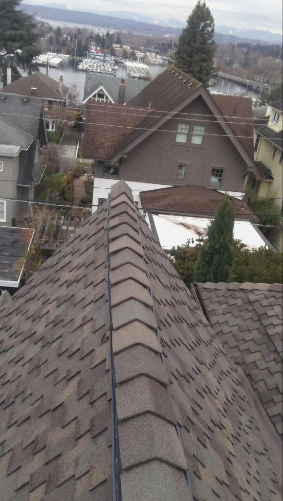 Seattle Presidential TL Roof Project