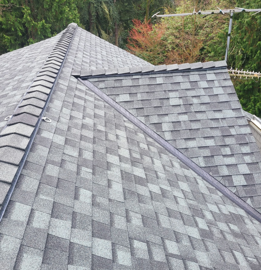 Beaux Arts roof replacement by Pinnacle Roofing Professionals